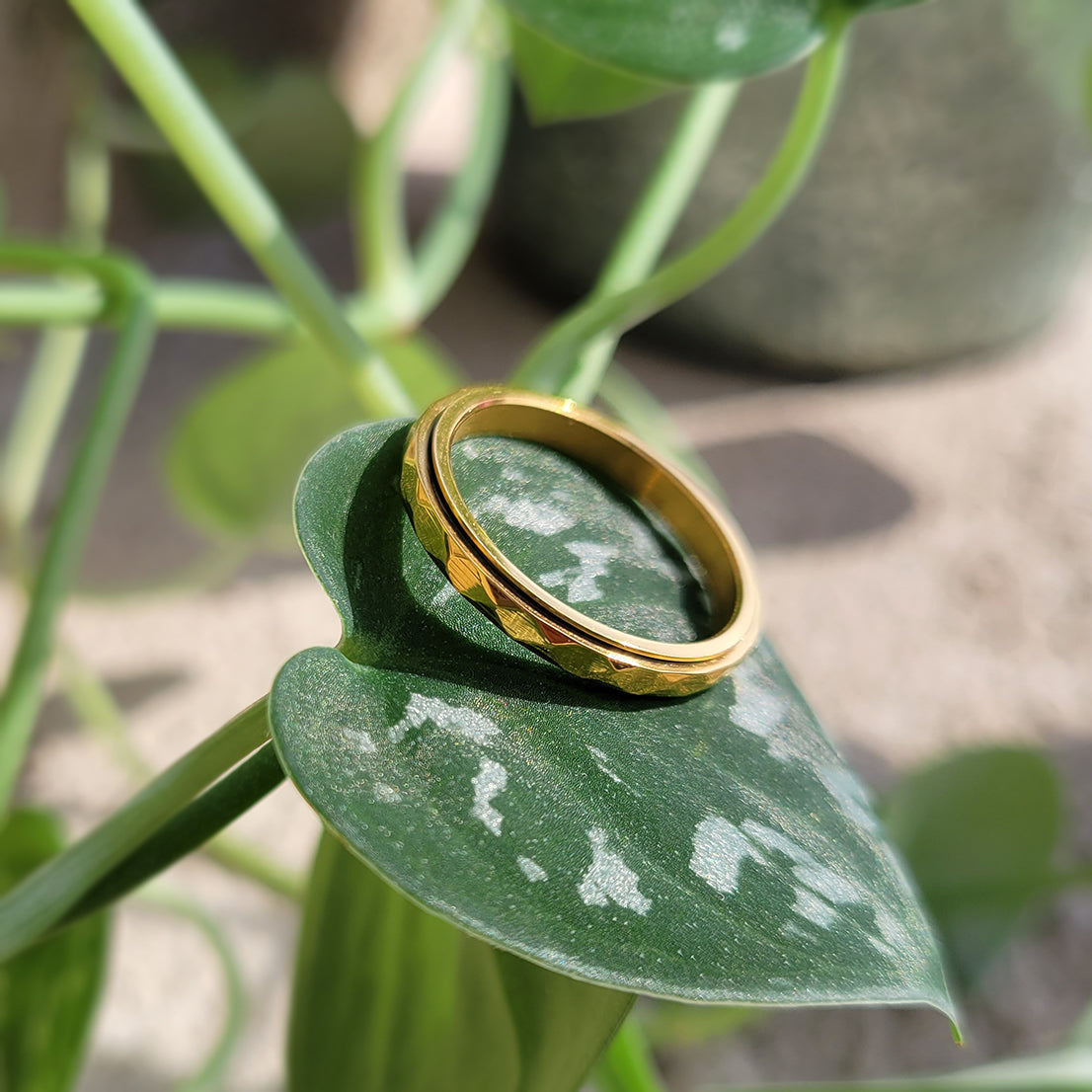 Nadia – Fidget-Dreh-Ring mit fein gehämmerter Band
